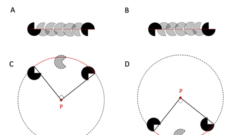 Mental imagery and perceptual organization
